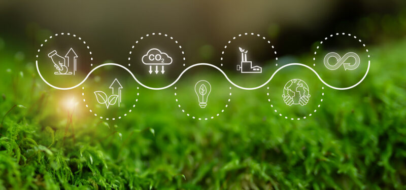 Sustainability Reporting: Where do you actually start?