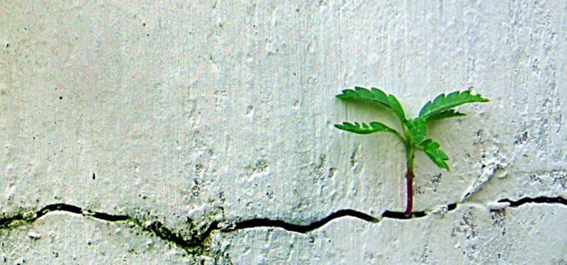 Resilience is key in a world of turmoil