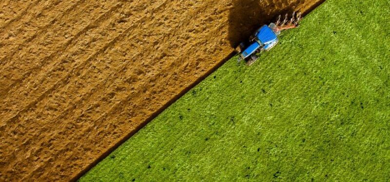 Food & Agriculture